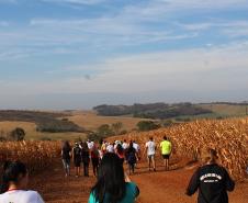 Passeio Rural