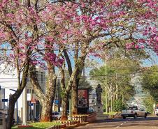 Avenida Tiradentes