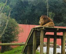 Zoológico Municipal de Curitiba