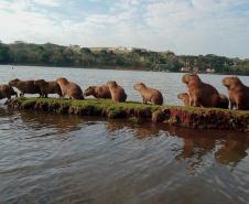 Parque do Jaboti