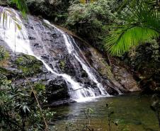 Reserva Ecológica do Sebuí