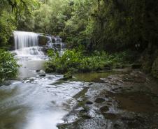 Recanto e Cachoeira Perehouski