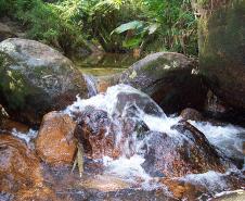 Cachoeira no Caminho do Itupava