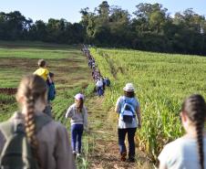 Caminhada Ecológica de Rolândia