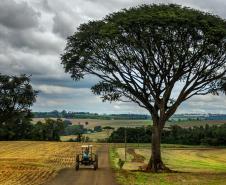 Estrada São Rafael