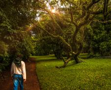 Fazenda Bimini