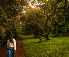 Fazenda Bimini