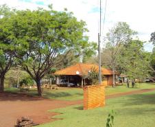 Parque Estadual Mata São Francisco