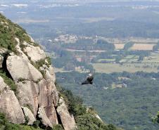 Morro do Anhangava