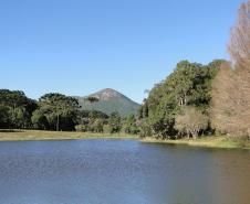 Morro do Anhangava