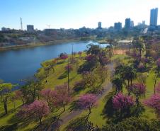 Parque do Lago