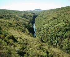 Parque Estadual do Cerrado - Cânion do Rio Jaguariaíva