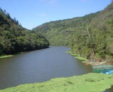 Parque Estadual do Vale do Codó