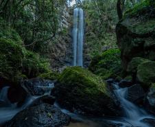 Salto Puxa Nervos