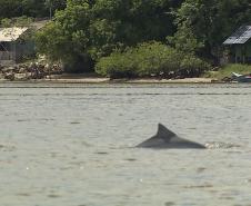 Ilha de Supergui