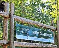 Trilha das Perobas