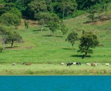 Rio Paranapanema Represado