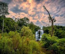 Cachoeira da Erva Doce