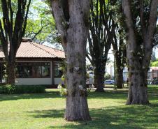 Praça das Orquídeas e Casa do Artesão