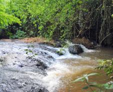 Roteiro Água Branca