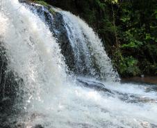 Roteiro Água Branca