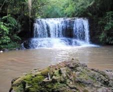 Roteiro Água Branca