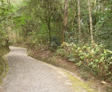 Trilha no Parque Ecoturístico Municipal São Luis de Tolosa