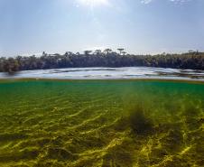 Lagoa Dourada