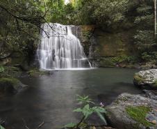 Cachoeira da Taquara