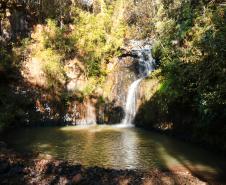 Caminhada Internacional na Natureza