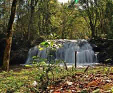 Cachoeira