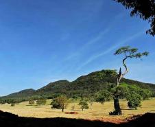 Morro Três Irmãos