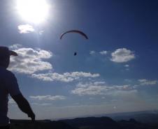 Paraglider