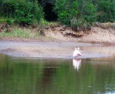 Rio da Várzea