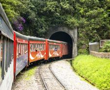 Túnel do Roça Nova