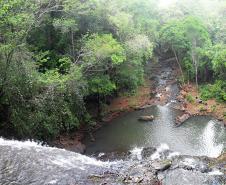 Cachu Portelinha