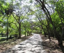 Parque Alambari