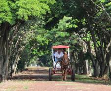 Turismo rural conquista viajantes em diversas regiões do Estado