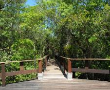 15 parques estaduais oferecem atividades especiais no domingo