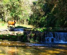 Cachoeira