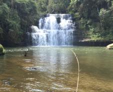 Cachoeira do Dusanoski