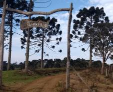 Campo do Meio