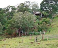 Comunidade Manto Sagrado (Gruta Nossa Senhora de Lourdes)