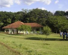 Parque Estadual Mata dos Godoy. Foto: Divulgação IAP