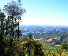 Pico do Marumbi