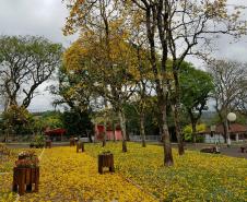 Praça Municipal