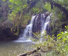 Cachoeira Seixas