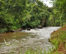 Parque Ibicatu