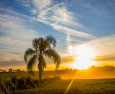 Paisagem da Cidade