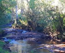 Parque Ambiental de Gamelão